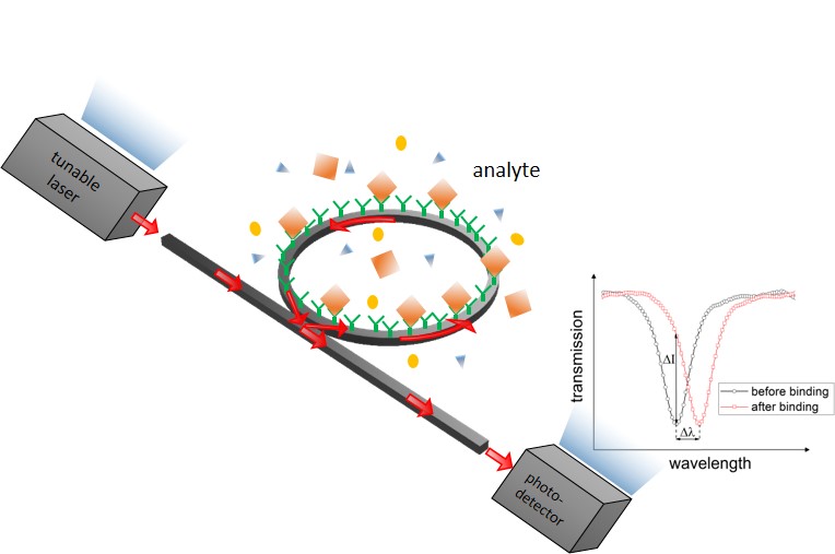 Optical Biosensor TH Wildau Optischer Biosensor: hochempfindlich und selektiv, schnell, klein und mobil - diese und weitere Entwicklungen werden auf dem 2. EcoPhotonics Symposium vorgestellt.