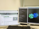 FG High Performance Computing in Life Sciences
