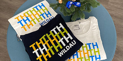Pullover, Shirt und Beutel mit TH Wildau Design auf einem türkisfarbenem Hocker mit Weihnachtsbäumchen daneben