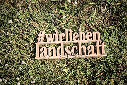 20. Brandenburger Energieholztag: Erfolgreiches Jubiläum mit Blick auf die Zukunft nachhaltiger Holzwirtschaft und moderner Landschaftsgestaltung