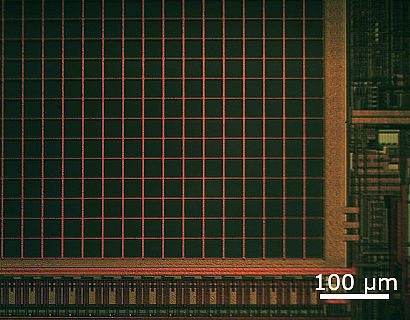 Lichtmikroskopische Aufnahme eines Chips einer optischen Computermaus