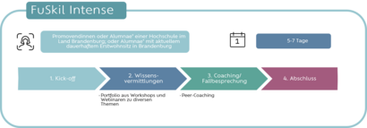 Schaubild/Übersicht des FuSkil Intense  Programs des Projektes FE/EM
