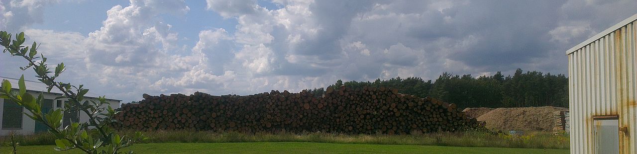 Nasslager im Sägewerk