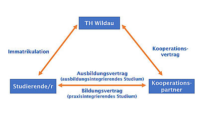 Vertragliche Regelungen beim Dualen Studium