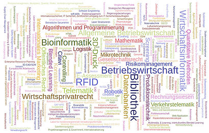 Kompetenzcluster der TH Wildau als Word Cloud