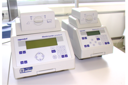 Thermocycler Eppendorf