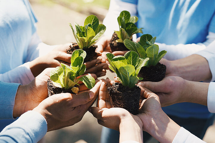 Nachhaltigkeitstag 2026