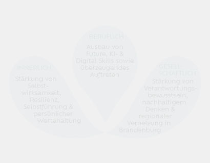 3 Säulen