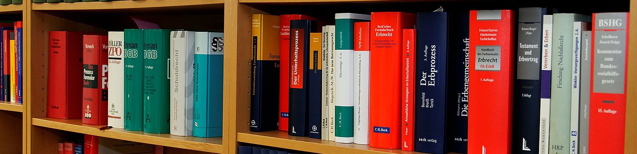 Transferpass Wirtschaftsrecht