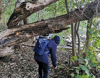 Wanderin im Dickicht