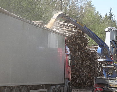 Holzhacken an der Waldstraße, Estland