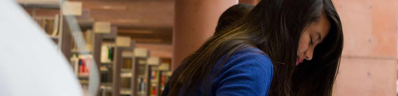 Students in the library of the TH Wildau