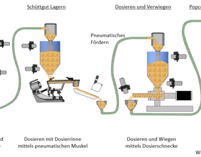 Prozesskette schematisch am Beispiel Selfees
