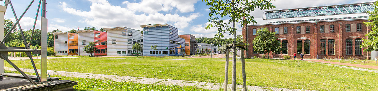 Campuswiese mit Blick auf Haus 15 und Halle 14