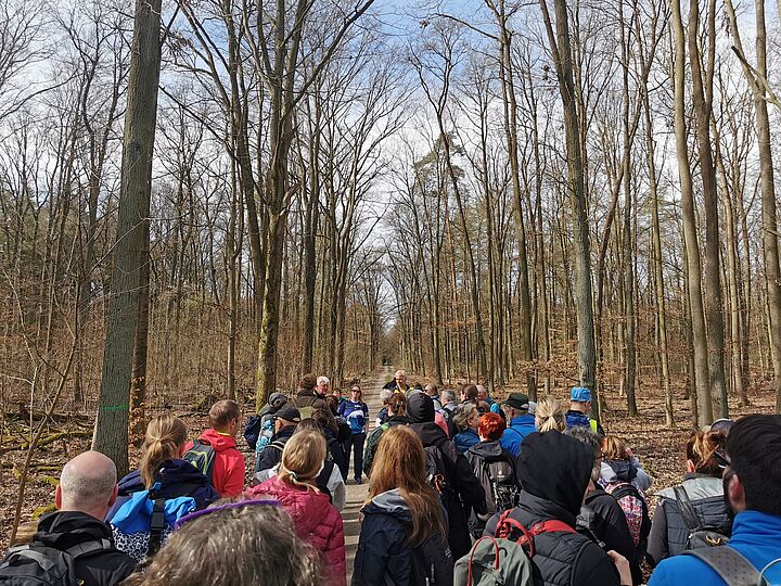 Wander*innen im Wald bei der Kleeblattwanderung