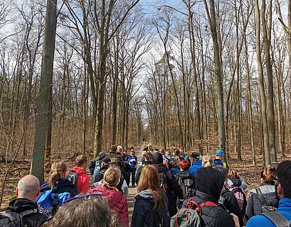 Wander*innen im Wald bei der Kleeblattwanderung