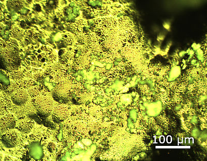 Lichtmikroskopische Aufnahme eines Molekülkristalls