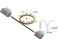 Photonische Technologien für Nachhaltigkeit, Gesundheit und Umweltschutz – 2. EcoPhotonics-Symposium am 28. Februar im Rahmen der Wildauer Wissenschaftswoche