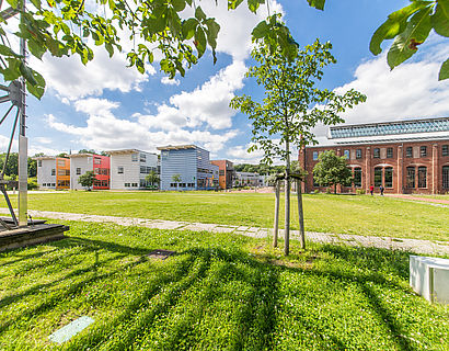 Campuswiese mit Blick auf Haus 15 und Halle 14