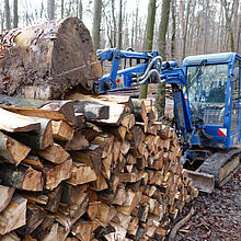 TH Wildau mit Projekten der angewandten Forschung und Entwicklung für die Holzlogistik bei den 4. KWF-Thementagen in Paaren im Glien