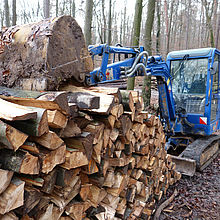 ​TH Wildau mit Projekten der angewandten Forschung und Entwicklung für die Holzlogistik bei den 4. KWF-Thementagen in Paaren im Glien