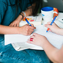 Studienplan und Module