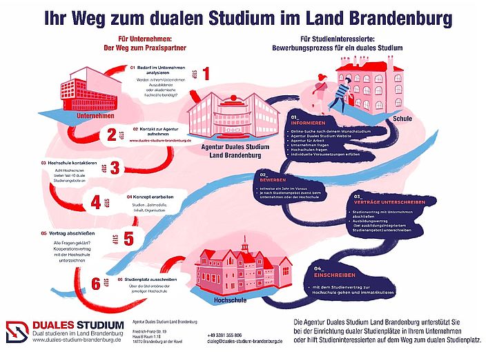 Grafik für den Weg zum Dualen Studium in Brandenburg