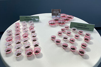 Verschiedene Angebote von alternativen Proteinquellen