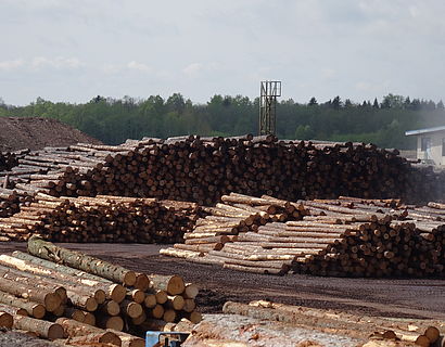 Holzplatz Nasslager, Estland