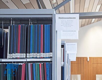 Abschlussarbeiten von Studierenden der TH Wildau