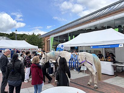 Stand der gesunden Hochschule mit Besuchenden und Pferd