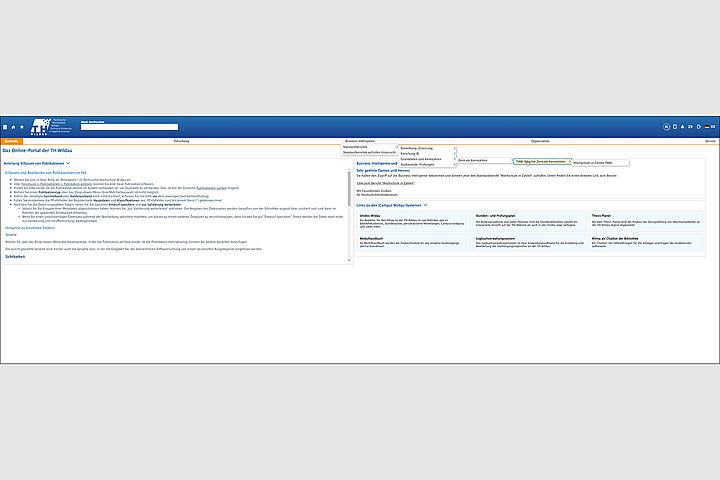Standardberichte im BI-Portal