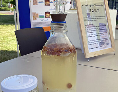 Wasserkefir