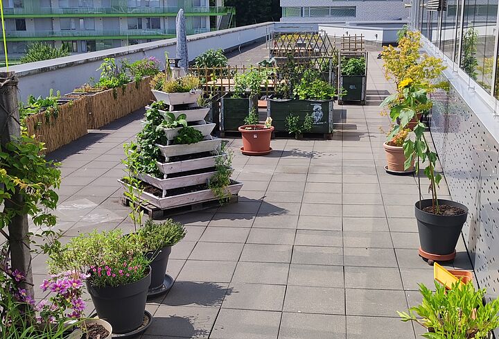 Blick auf den Greenspace des ViNN:Lab