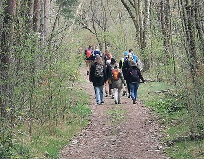 Wander*innen im Wald bei der Kleeblattwanderung