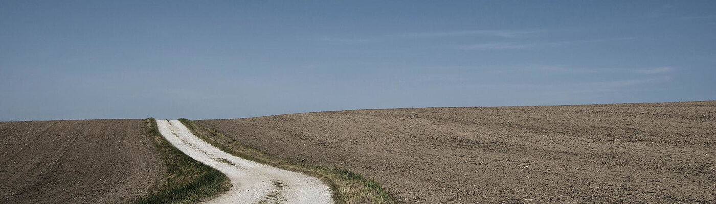 Ein geschwungener Feldweg zieht sich durch ein braunes Ackerfeld unter einem weiten, blauen Himmel.