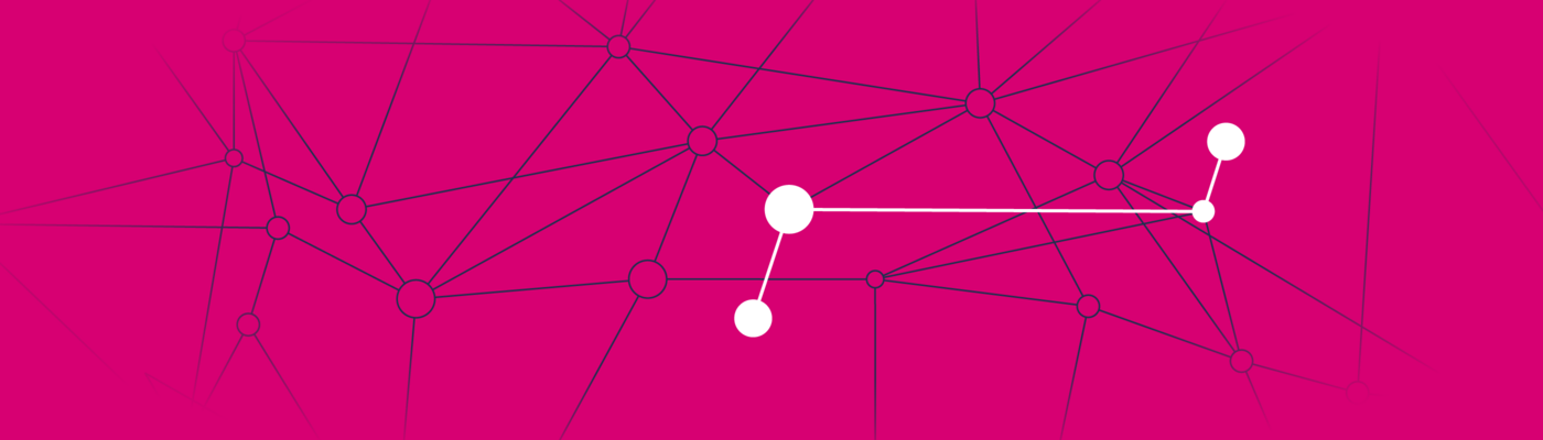 Pinkfarbener Hintergrund mit feinen schwarzen und weißen Linien, die miteinander verbunden sind und die Vernetzung symbolisieren sollen