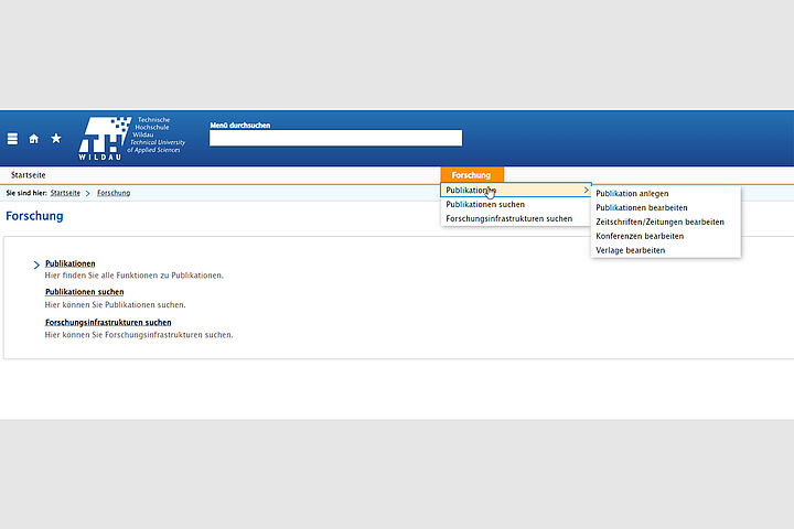 Beispiel 2: Forschungsdaten im BI-Portal (Screenshot: Sebastian Stoye)