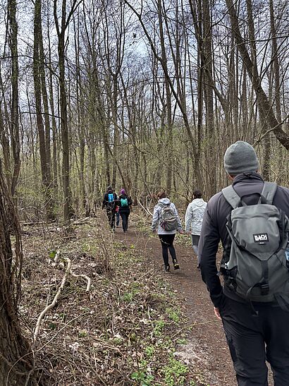 Wandergruppe im Wald