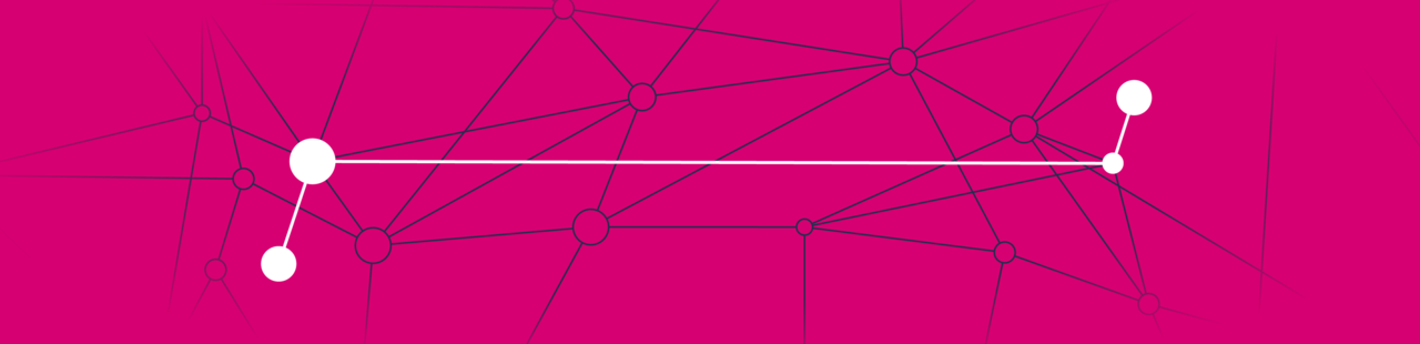 Pinkfarbener Hintergrund mit feinen schwarzen und weißen Linien, die miteinander verbunden sind und die Vernetzung symbolisieren sollen