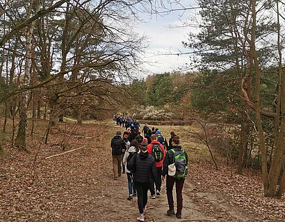 Wander*innen laufen bei der Kleeblattwanderung durch den Höllengrundwanderweg