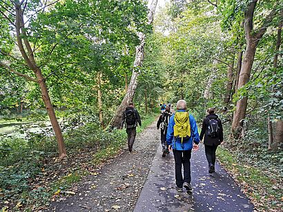 Wanderer im Wald