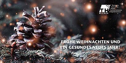 Weihnachtskarte Alumni Web 001 Tannzapfen auf Moos, Kerzen im Hintergrund