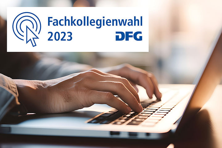 AdobeStock 635497383 bea DFG Fachkollegienwahl