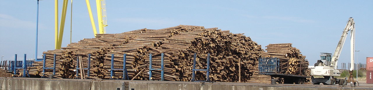 Ladekai Holzhafen Wismar