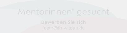 Ein Aufruf an Mentorinnen* sich für FE/EM zu bewerben