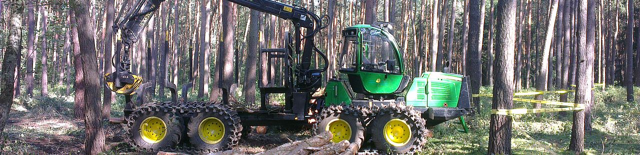 Harvester bei der Holzernte