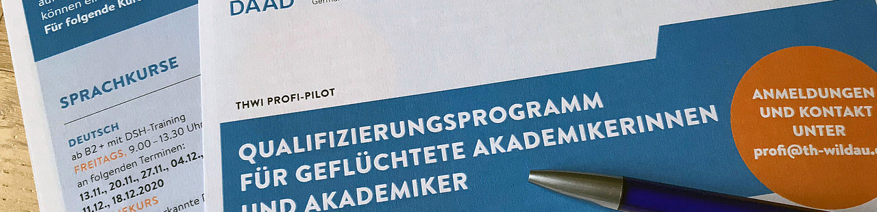 Bild Flyer PROFI PILOT Projekt