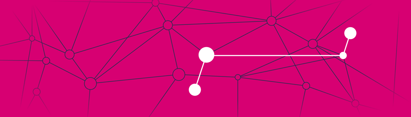 Pinkfarbener Hintergrund mit feinen schwarzen und weißen Linien, die miteinander verbunden sind und die Vernetzung symbolisieren sollen