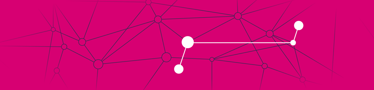Pinkfarbener Hintergrund mit feinen schwarzen und weißen Linien, die miteinander verbunden sind und die Vernetzung symbolisieren sollen